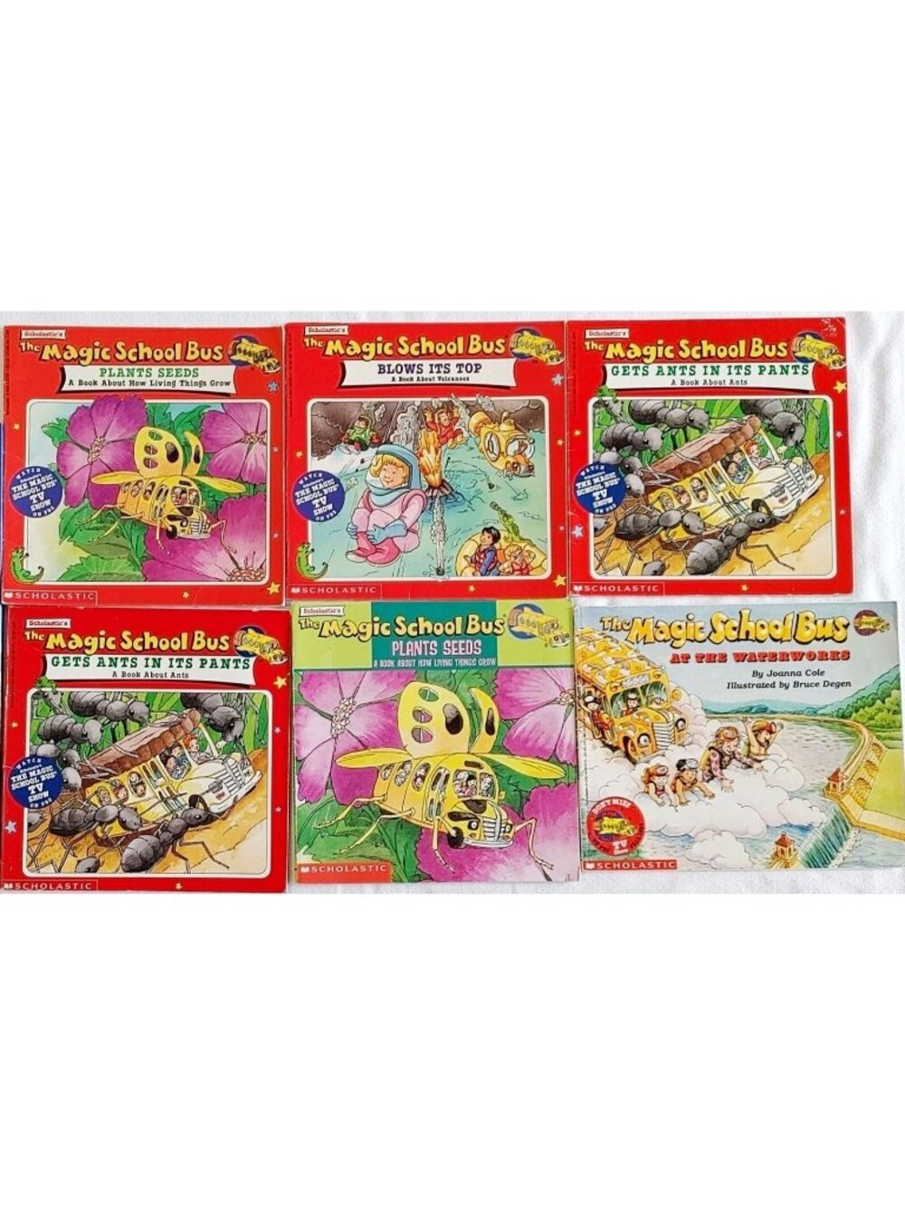 MAGIC SCHOOL BUS SCIENCE Softcover Book Lot of 6